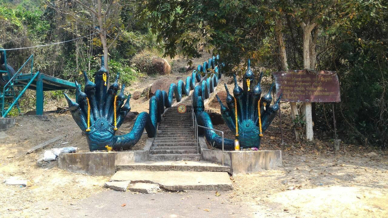 ความรู้เรื่องพญานาค