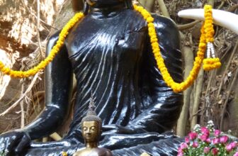 วัตถุมงคล วัดถ้ำแสงธรรม (ภูลังกา) จ.บึงกาฬ (เพื่อการศึกษา)