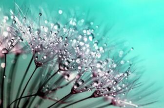 มีปัญญารู้ทุกข์จะละกามได้